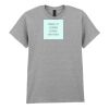 Adult t-shirt Heavy Cotton Thumbnail